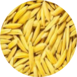  Obilí